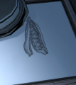 Thumbnail for version as of 17:53, 28 July 2025