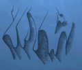 Thumbnail for version as of 19:02, 28 July 2025